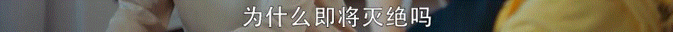 ▲PS，他是从师姐的书上看来的。师姐是司徒末的吃醋对象，气得她扭头回房了。,这是什么神仙剧，也太暖太甜了吧,神仙,司徒,司徒末,顾未易,女孩,傅沛,学霸,江教授,书上,少女