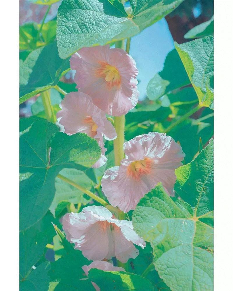见过这么精致的细节吗？赶紧尝尝鲜！,文中,END
