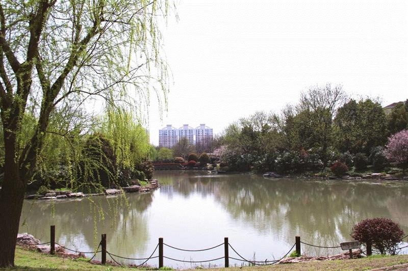 美博艺术中心 | 本周六，来美博邂逅春天，后备箱二手物品市集来瞅瞅？,美博艺术中心,后备箱,市集,美博,儿童,闵行区,黎明路,小朋友,玩具,家长