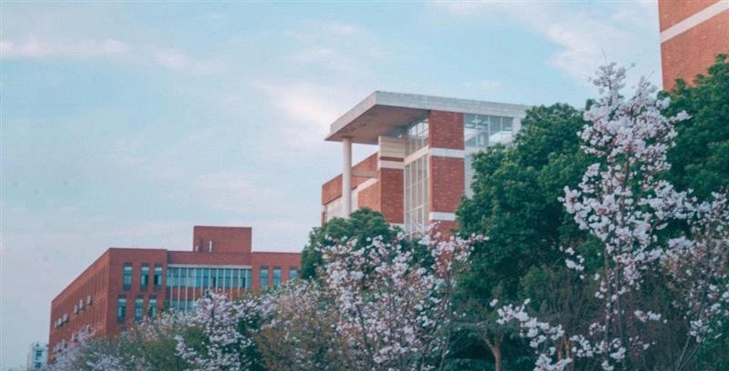 【IFA-时尚艺术季】院校发布预告 | 武汉科技大学城市学院“衣术”,衣术,艺术季,武汉科技大学城市学院,IFA,时尚,服装,毕业生,服饰,科技,武汉市