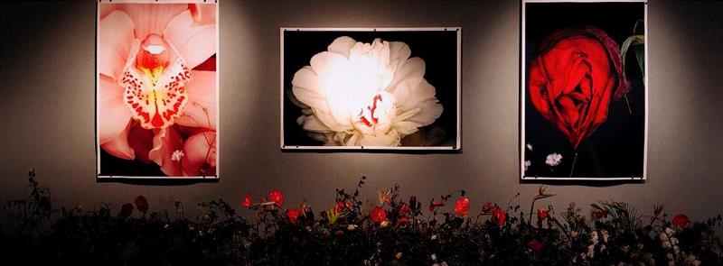 《荒木经惟·花幽》展览现场,荒木经惟·花幽 现场身体表演：凝视的形状|AMNUA身体剧场,荒木经惟,花幽,AMNUA,舞蹈,舞者,艺术节,编舞,俞亚男,罗月冰,现代舞