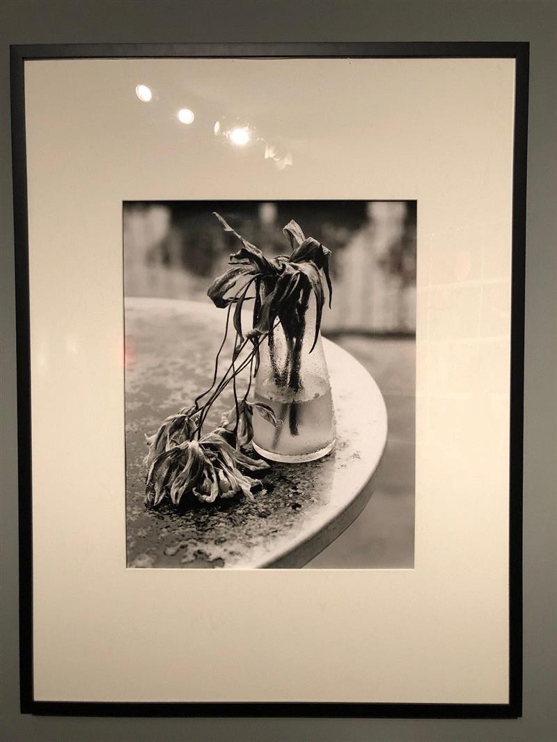 《荒木经惟·花幽》展览现场,荒木经惟·花幽 现场身体表演：凝视的形状|AMNUA身体剧场,荒木经惟,花幽,AMNUA,舞蹈,舞者,艺术节,编舞,俞亚男,罗月冰,现代舞
