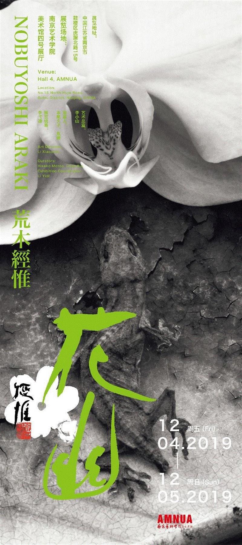荒木经惟·花幽 现场身体表演：凝视的形状|AMNUA身体剧场,荒木经惟,花幽,AMNUA,舞蹈,舞者,艺术节,编舞,俞亚男,罗月冰,现代舞
