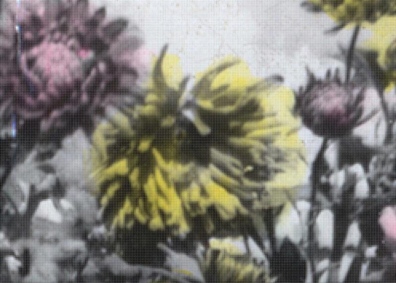 画廊 | 郝浩然 影像在形式上的“自由与毁灭”,影像,物体,装置,媒介,记忆,材料,物质,三维空间,译码,情节