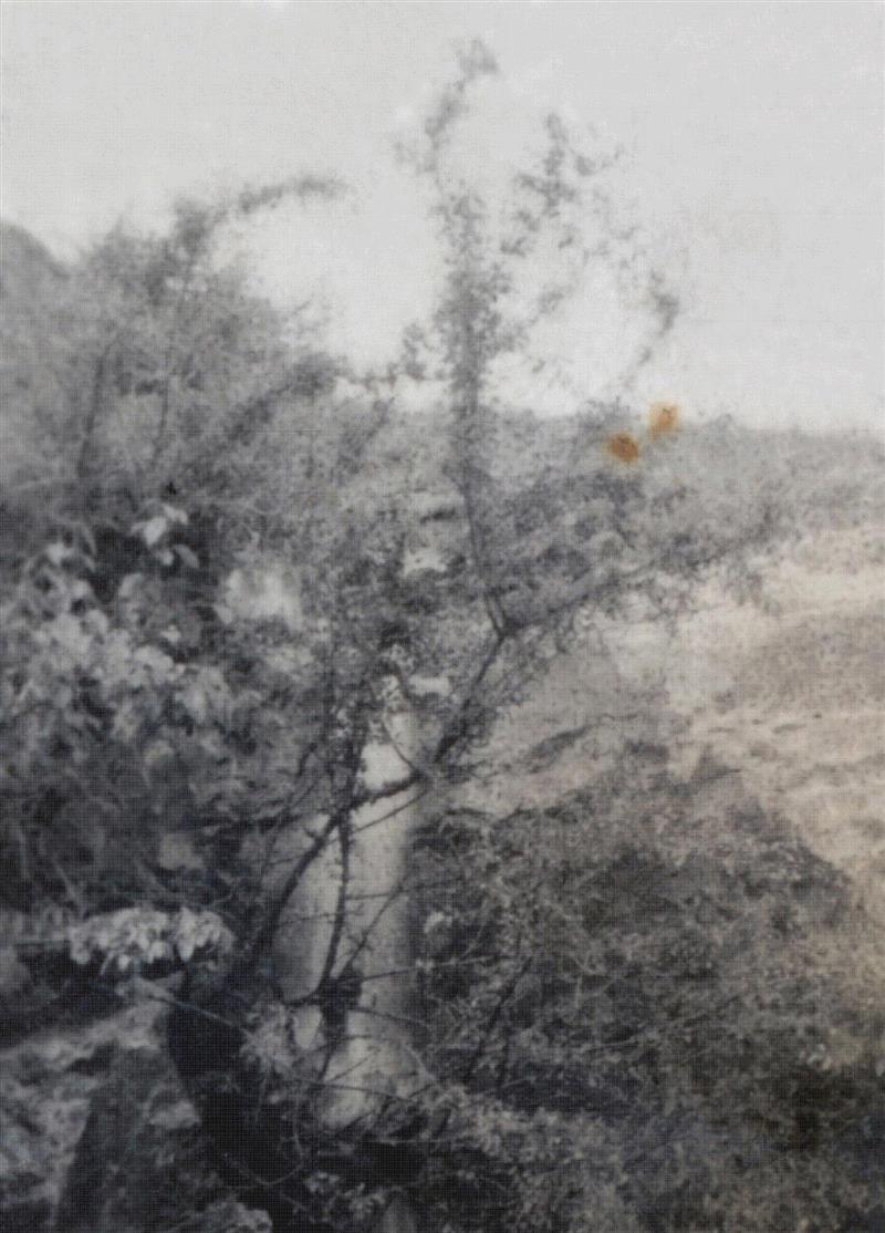画廊 | 郝浩然 影像在形式上的“自由与毁灭”,影像,物体,装置,媒介,记忆,材料,物质,三维空间,译码,情节