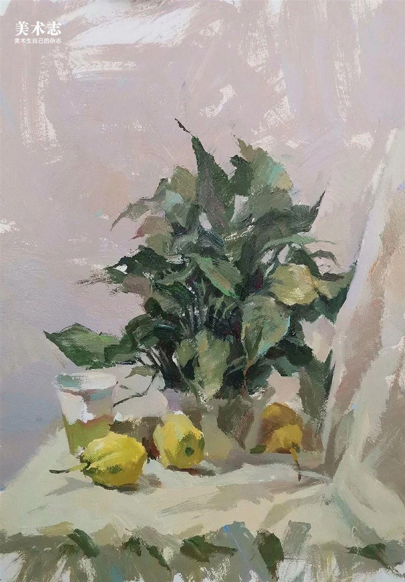 画面松动自然,很有味道!—— 孙致远,孙致远,孙老师,颜料,小志,色调,同学们,静物,美院,物体,基调