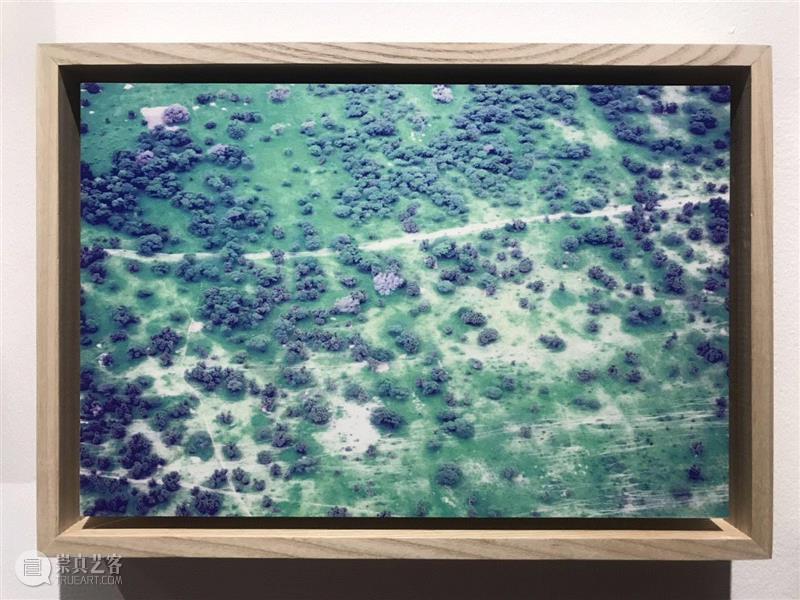 狮语画廊新展“独白·无界”|人类的“苦痛”依然存在,顾铮,狮语画廊,亚历克·冯·巴根,MSF,无国界医生组织