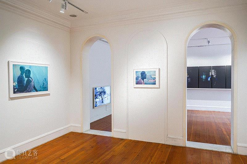 狮语画廊新展“独白·无界”|人类的“苦痛”依然存在,顾铮,狮语画廊,亚历克·冯·巴根,MSF,无国界医生组织