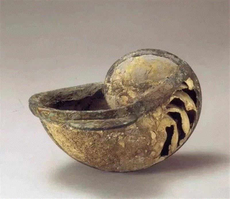 1965年，南京象山东晋王兴之夫妇墓出土的鹦鹉螺杯,器物丨鹦鹉螺杯，欧洲皇室的奢华器皿！,鹦鹉螺杯,器物,皇室,器皿,鹦鹉螺,鹦鹉杯,贝壳,荷兰,空腔,里面