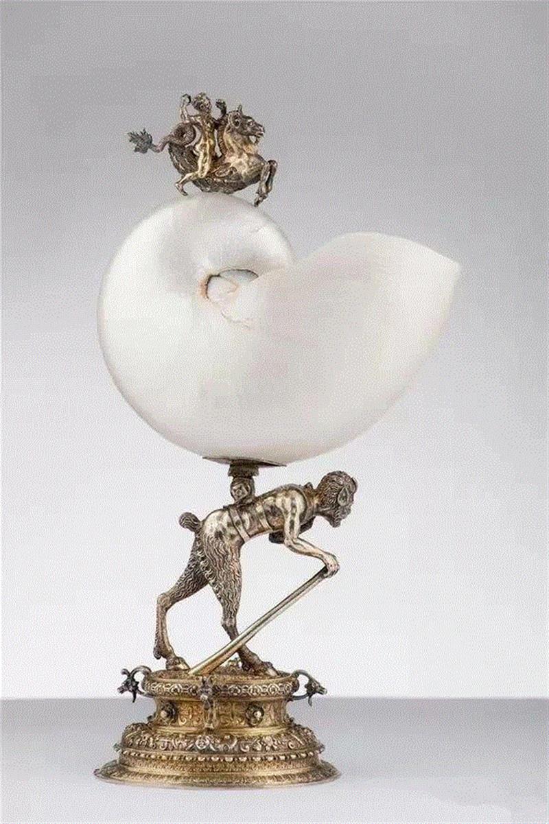 器物丨鹦鹉螺杯，欧洲皇室的奢华器皿！,鹦鹉螺杯,器物,皇室,器皿,鹦鹉螺,鹦鹉杯,贝壳,荷兰,空腔,里面