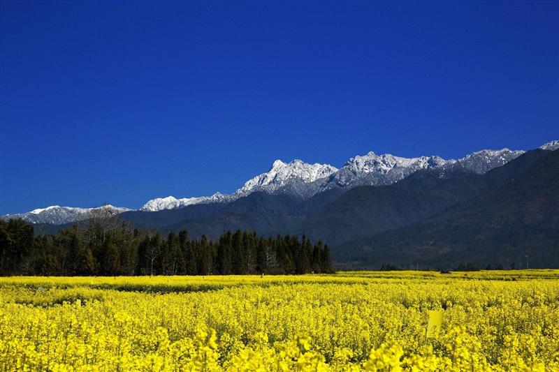 高黎贡山,这座小城，为何被称为“散落边地的一部汉书”？,小城,边地,汉书,腾冲,云南,原乡,当地,少数民族,大陆,缅甸