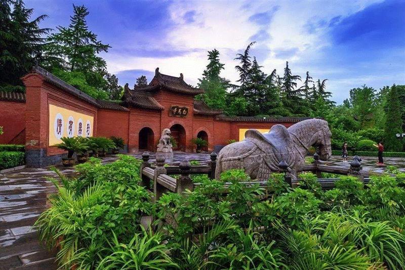 端午游学丨稀世文物指南：看尽九朝古都，何解洛阳花好（6月6日—6月9日）,九朝古都,稀世,文物,指南,洛阳花,洛阳,龙门石窟,白马寺,石窟,关羽