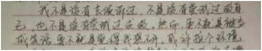 品读 ▎“自杀前，他们都做过同样的事情”：如果你读到别人的人生，请不要笑