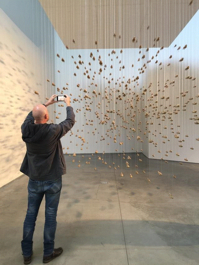 访谈 | Trevor Paglen 看星星是我认为的最原始的艺术