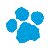 微信图片_20190228181251.png