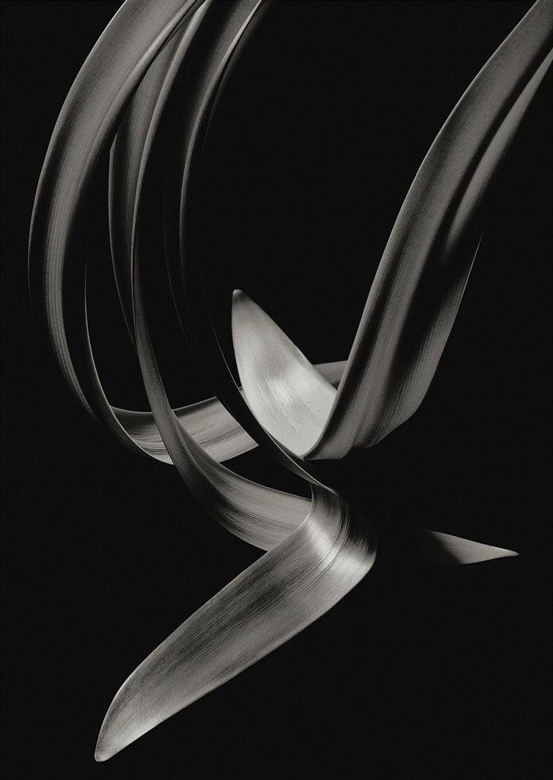 【SC?P | 讲座预告】KENRO IZU:我的每一份作品都以“无常”为题,KENRO,IZU,井津建郎,Izu,影像,井津,建郎,上海摄影艺术中心,铂钯,Kenro