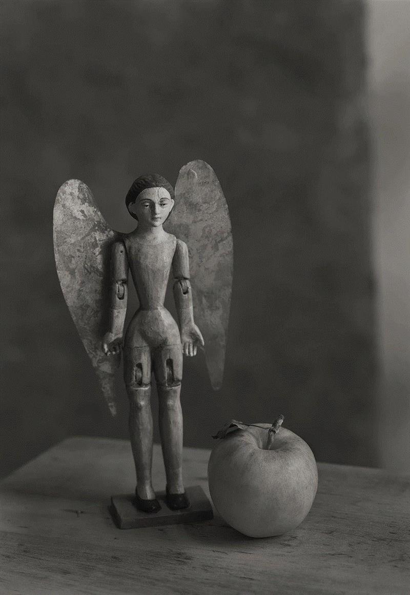 【SC?P | 讲座预告】KENRO IZU:我的每一份作品都以“无常”为题,KENRO,IZU,井津建郎,Izu,影像,井津,建郎,上海摄影艺术中心,铂钯,Kenro