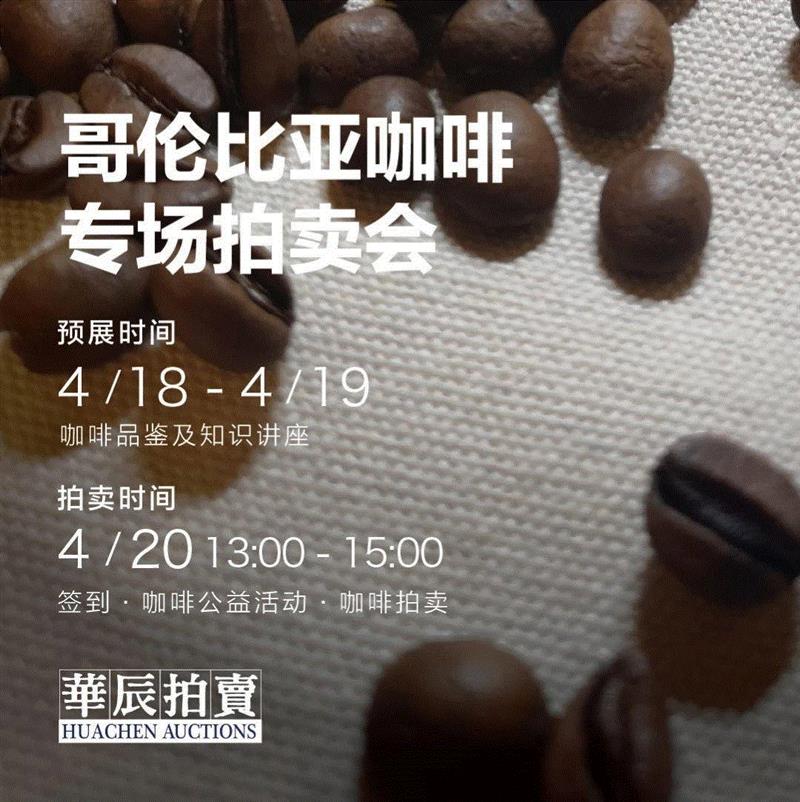 华辰拍卖新场景,咖啡品尝拍卖会第一场成功举办,拍卖会,华辰,公益,云南,产区,咖啡豆,本土,祖榕,女士,哥伦比亚