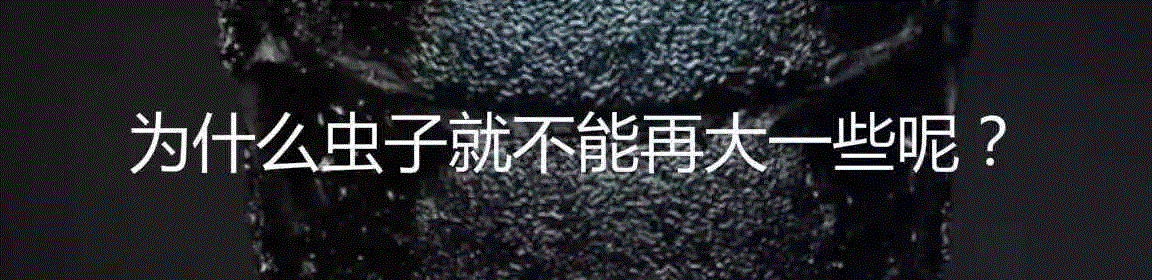 夭寿啦：六种可能在你眼中出现的生物,夭寿,眼中,生物,蜜蜂,图源,汗液,医生,蜱虫,虫子,眼睑