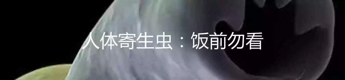夭寿啦：六种可能在你眼中出现的生物,夭寿,眼中,生物,蜜蜂,图源,汗液,医生,蜱虫,虫子,眼睑