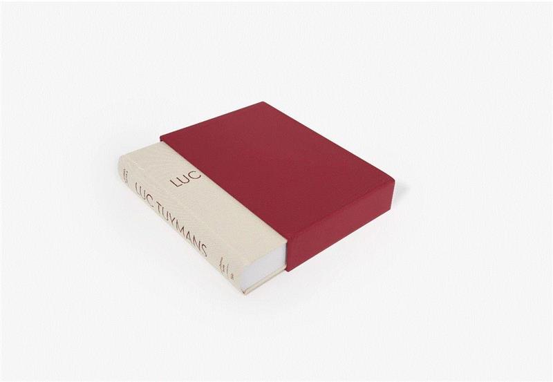 将一切恐惧挡在画面之外：个性如我图伊曼斯（内藏高清大图）| Luc Tuymans,伊曼斯,Tuymans,之外,大图,卢蒙巴,博览会,绘画,背后,刚果,赖斯