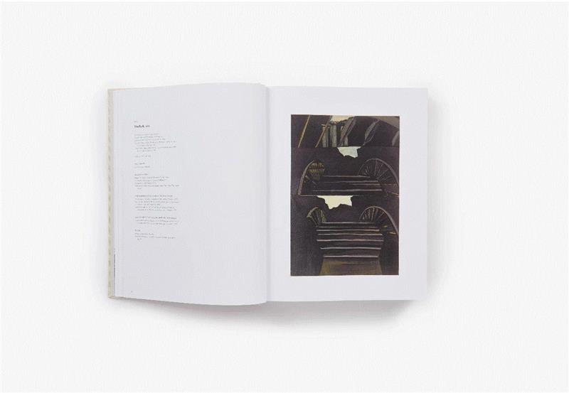 将一切恐惧挡在画面之外：个性如我图伊曼斯（内藏高清大图）| Luc Tuymans,伊曼斯,Tuymans,之外,大图,卢蒙巴,博览会,绘画,背后,刚果,赖斯