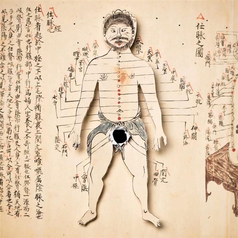 阉割简史与现代医学应用,阉割,医学,前列腺,图源,去势,睾丸,亚历克斯,睾酮,前列腺癌,癌症