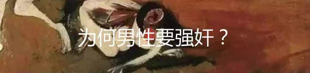 阉割简史与现代医学应用,阉割,医学,前列腺,图源,去势,睾丸,亚历克斯,睾酮,前列腺癌,癌症