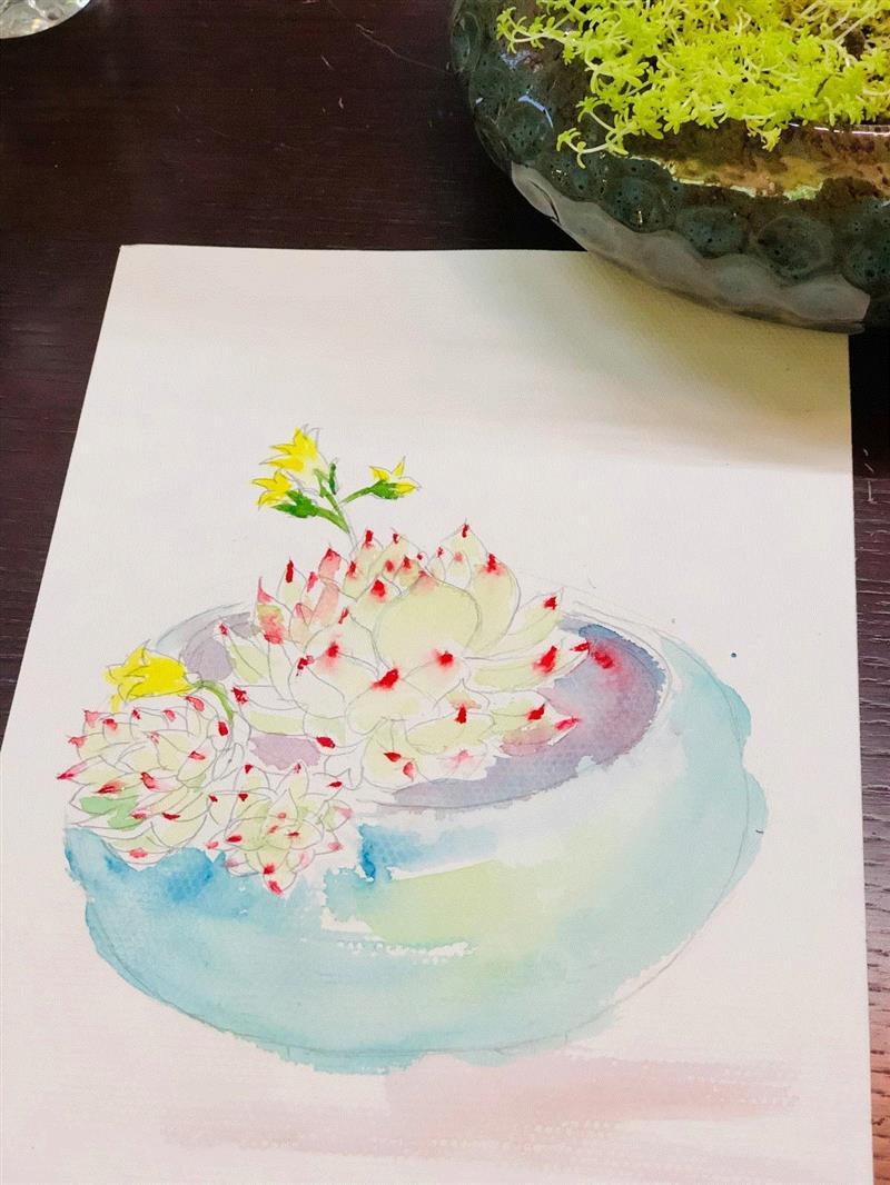 美博艺术中心 | M.ART“青”展沙龙之陈晓云写生创作分享讲座,陈晓云,美博艺术中心,沙龙,莫奈,印象派,睡莲,理论,爱好者,水彩,电话