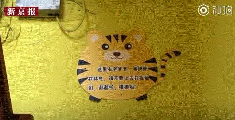 《灌篮高手》网红打卡地被封：你自顾自美丽的样子，真丑！,灌篮高手,当地,圣地,动画,居民,花海,农田,公路,噩梦,罂粟花
