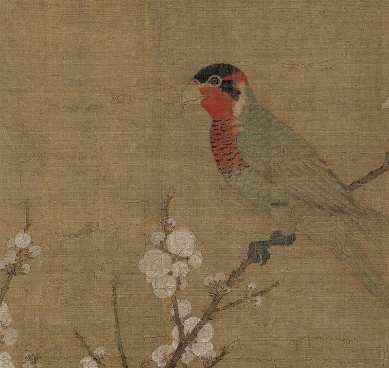 《五色鹦鹉图》局部,宋徽宗：画个鸟啊,宋徽宗,画中,天下,赵佶,听琴图,一人,琴音,五色鹦鹉图,竹禽图,辽国