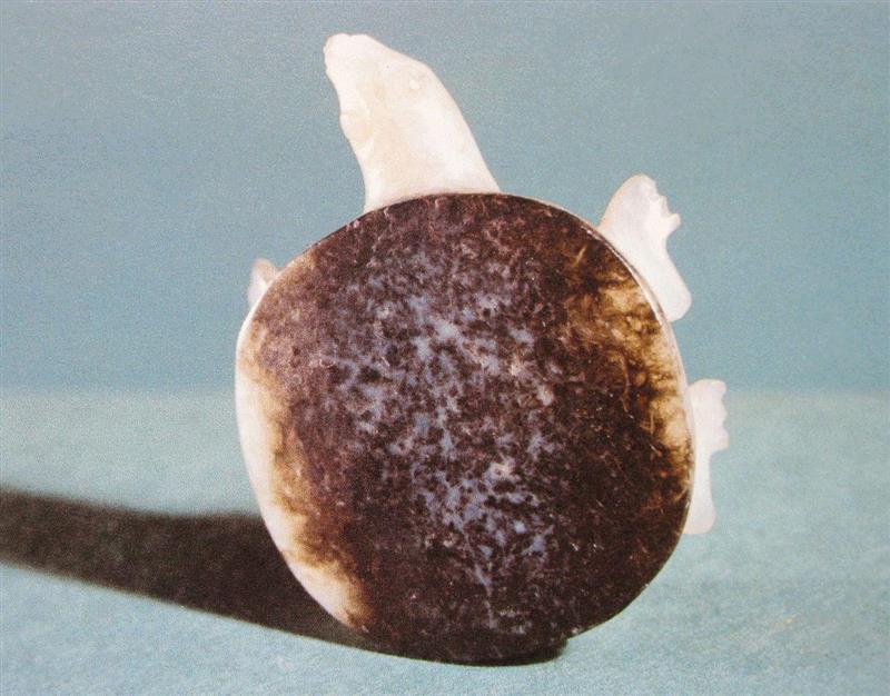 商代俏色玉鳖，河南安阳殷墟出土（图自网络）,玉器雕刻技法识别指南,玉器,指南,浮雕,阴线,玉雕,纹饰,透雕,钻孔,玉石,平雕