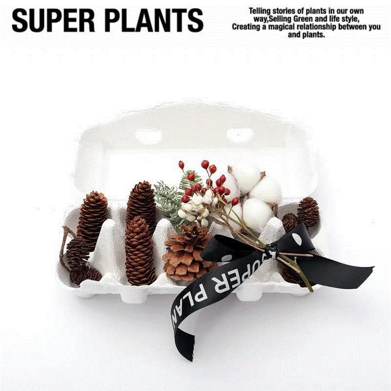 超级植物公司Plants workshop,【时代·预告】GROW IN ART - 在艺术中成长,北京时代美术馆,影像,工作坊,五棵松桥,地铁,黏土,商思敏,workshop,陈鹏程,李晓巧