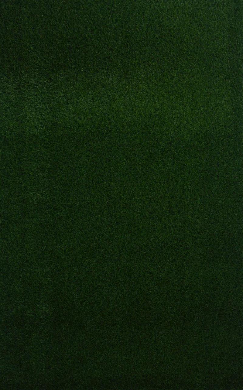 Fake grass / 人造草皮，有机玻璃 Artificial grass,plexi