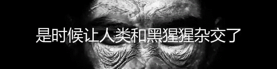 猩猩也有同理心的客观证据,猩猩,黑猩猩,雄性,雌性,倭黑猩猩,灵长类,道德,Mama,瓦尔,身上
