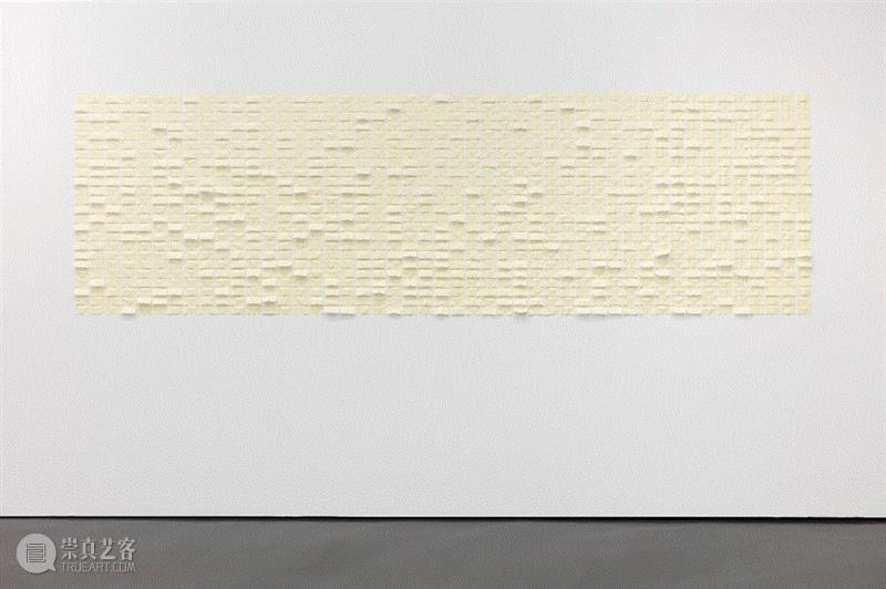 Skin (Smoking Maiz), 2018,雅克·雷纳（Jac Leirner）获得第25届“沃夫冈罕奖” |白立方在科隆国际艺术展,Leirner,Jac,沃夫冈,艺术展,科隆国际,雅克·雷纳,立方,雷纳,雅克,展位