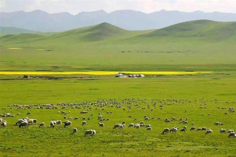 你有一份中国少数民族音乐地图请查收,少数民族,音乐,地图,美术馆,民族,民歌,中央音乐学院,二维码,沙龙,南山区