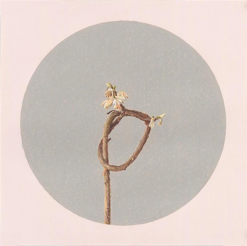 王乐其，扭曲的花,美博展讯 | 陌上春来缓缓归——2019春季主题艺术展,美博,展讯,艺术展,油画,张晨初,王乐其,李知弥,李言,黄河,何振华
