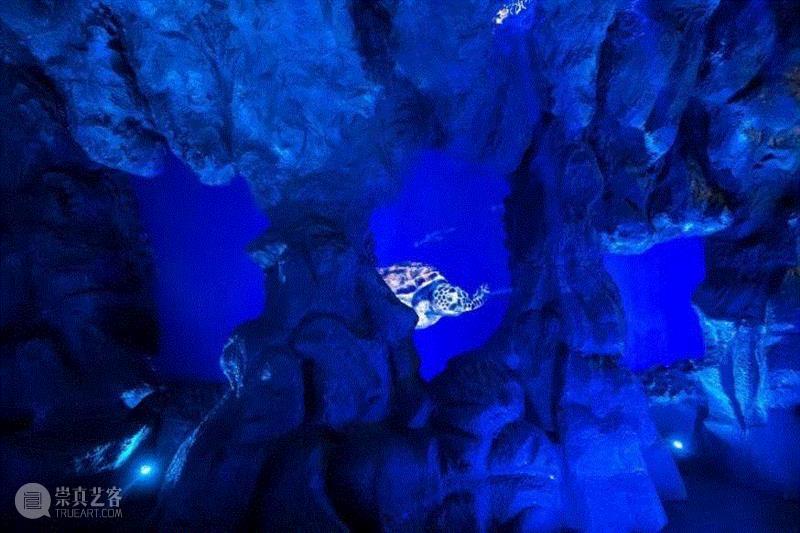 留言赠票 | 深蓝之境上海首展：用科技和艺术打开海洋的殿堂,海洋,首展,科技,殿堂,通票,深海,虎鲸,儿童,客服,海底世界