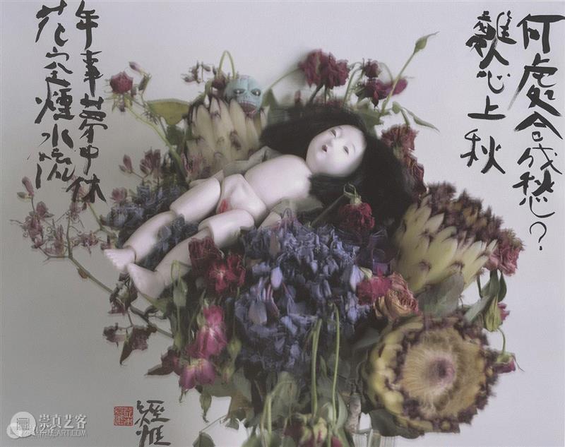 展览 | 荒木经惟·花幽,荒木经惟,摄影展,阳子,荒木,东京都,绘卷,花幽,电通,东京府,下谷区