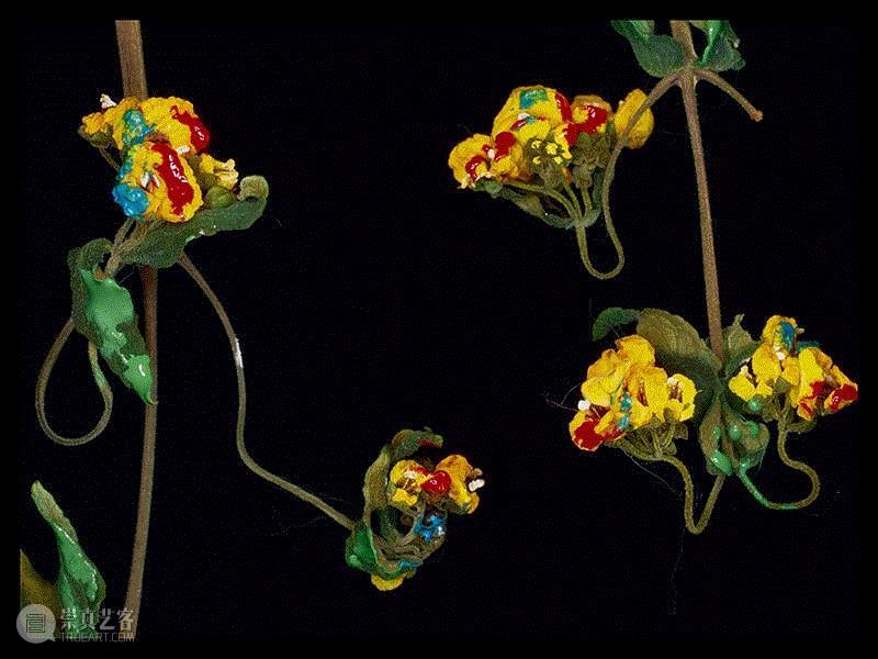 展览 | 荒木经惟·花幽,荒木经惟,摄影展,阳子,荒木,东京都,绘卷,花幽,电通,东京府,下谷区