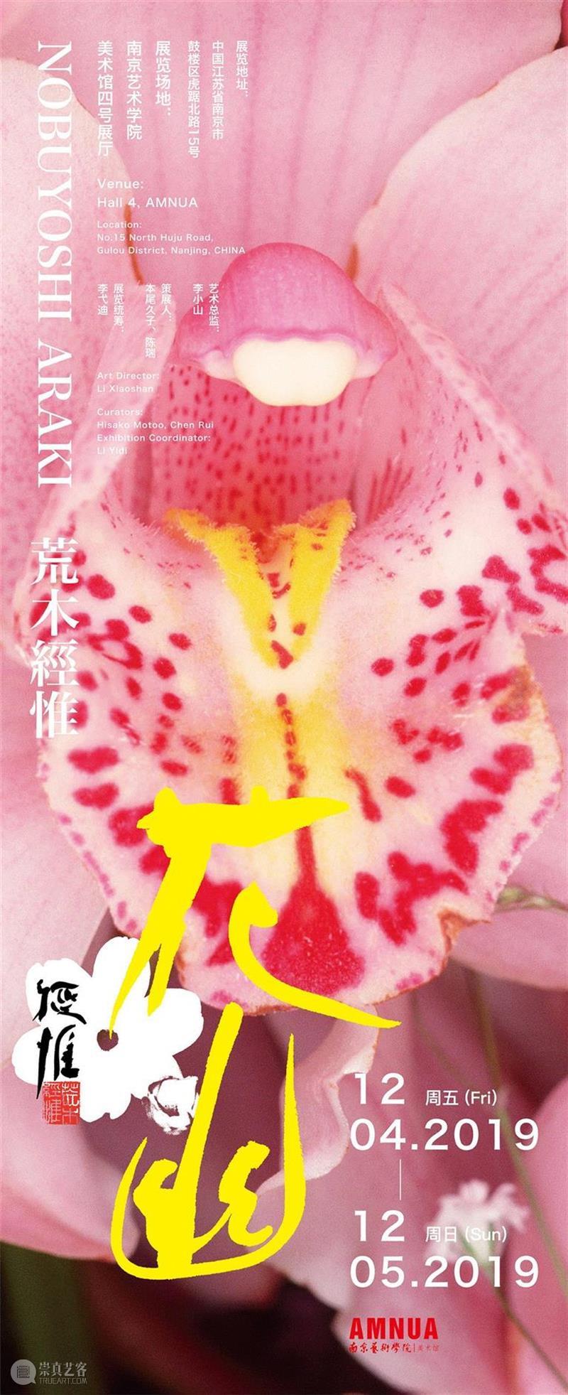 展览 | 荒木经惟·花幽,荒木经惟,摄影展,阳子,荒木,东京都,绘卷,花幽,电通,东京府,下谷区