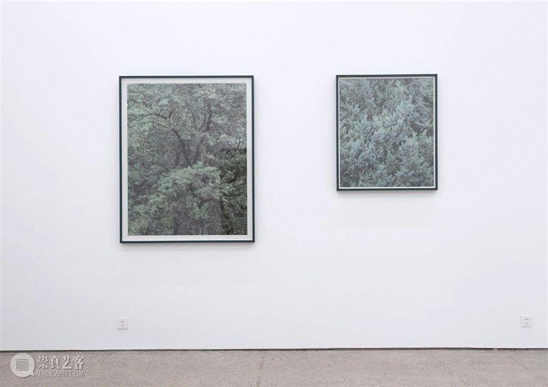 视频 | 史国威个展“林中漫步”,林中,史国威,视频,国威,树林,颜色,边框,工具条史,凯伦,史密斯