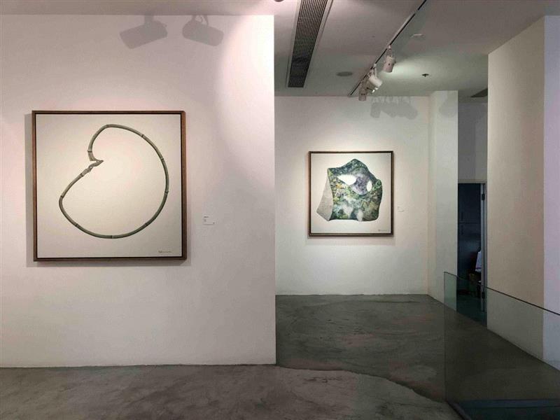国家美术·展讯丨吴笛笛个展,吴笛笛,展讯,植物,竹子,石头,苔藓,藤蔓,树木,图案,绘画