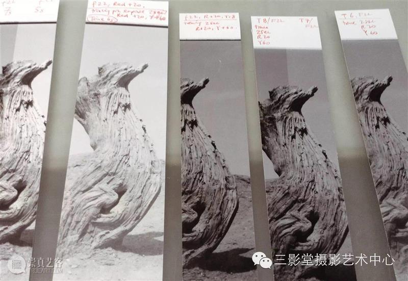 【即将报满】4月现代暗房基础课程——明日开课｜三影堂教育,暗房,课程,三影堂,学员,肖日保,底片,讲师,胶片,流程,小样