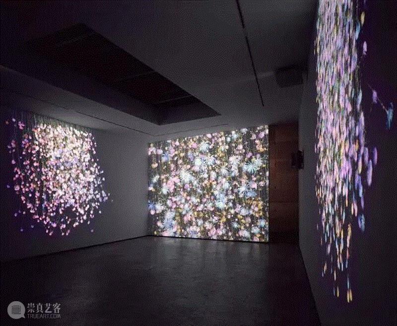 立木画廊纽约空间, 2005年5月20日 - 6月24日,思考沉静建筑空间的动态潜能：珍妮弗·施泰因坎普（Jennifer Steinkamp）,珍妮弗,建筑,动态,潜能,施泰因坎普,施泰因,坎普,香港,首尔,装置