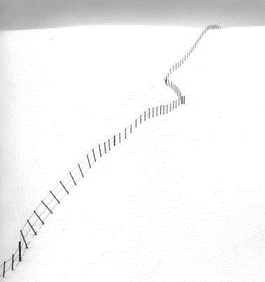 肯纳 《山坡上的栅栏，日本，2002》,美术馆夜场计划 | 海粟讲堂：见微知著看上海 ——从摄影到微摄影,夜场,美术馆,海粟,讲堂,微摄影,刘海粟美术馆,徐明松,人文,中青年,影像