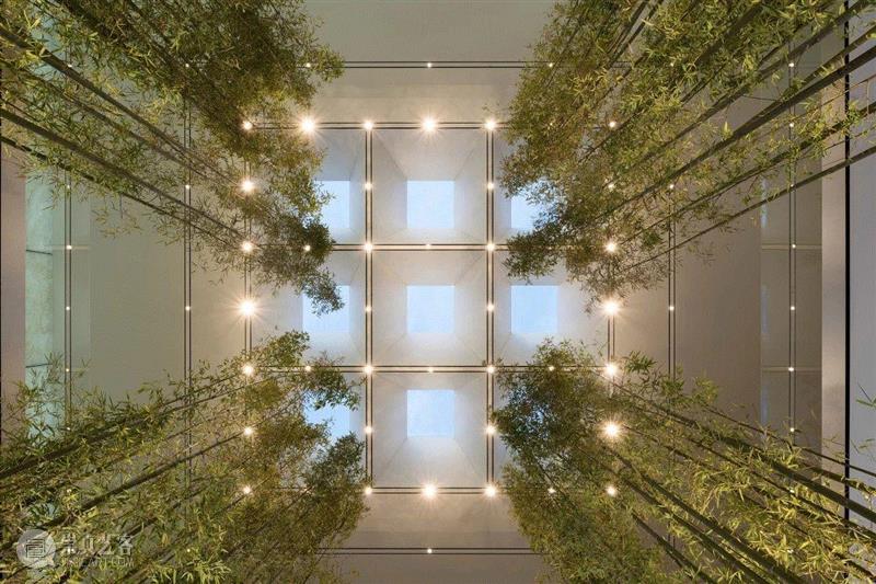 视觉丨抬头看建筑，怎一个美字了得！,建筑,上方,右上,only,arch,卫荣