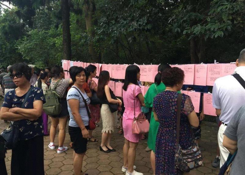 广州天河公园相亲角,刚上大一的她竟被家长逼着去相亲！,大一,家长,婚姻,周一星,大学生,父亲,女儿,广州大剧院,伦理,剧本