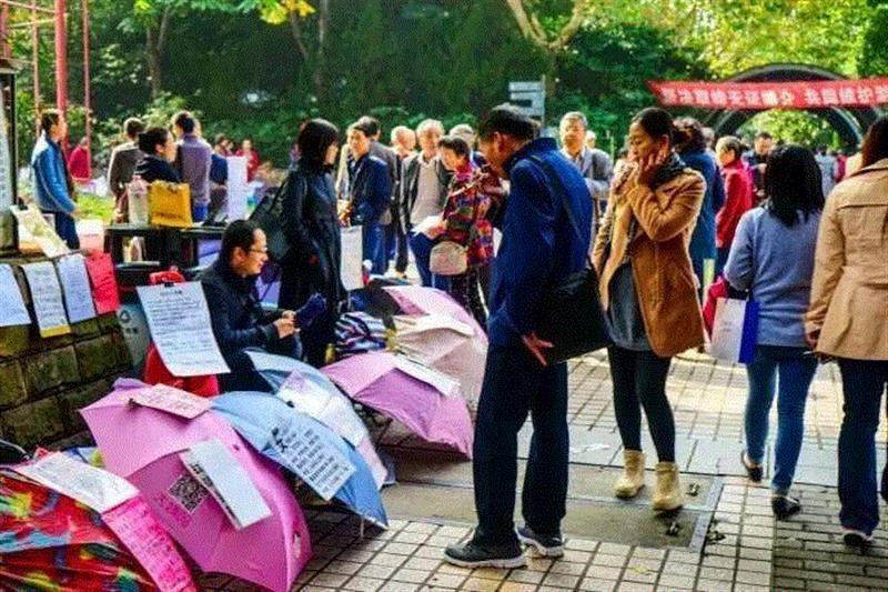 上海人民公园相亲角,刚上大一的她竟被家长逼着去相亲！,大一,家长,婚姻,周一星,大学生,父亲,女儿,广州大剧院,伦理,剧本